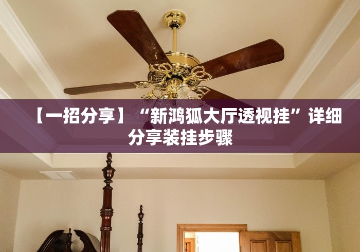 【一招分享】“新鸿狐大厅透视挂”详细分享装挂步骤