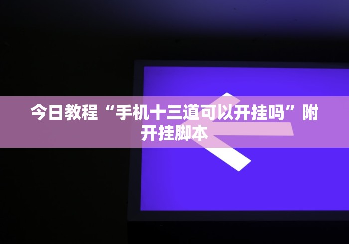 今日教程“手机十三道可以开挂吗”附开挂脚本