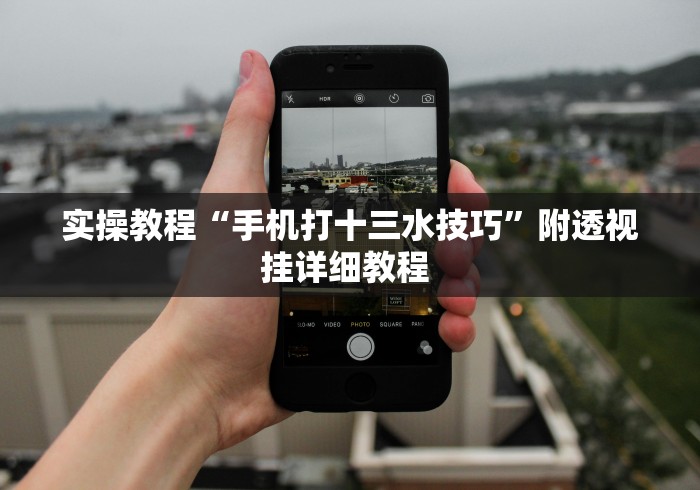实操教程“手机打十三水技巧”附透视挂详细教程 