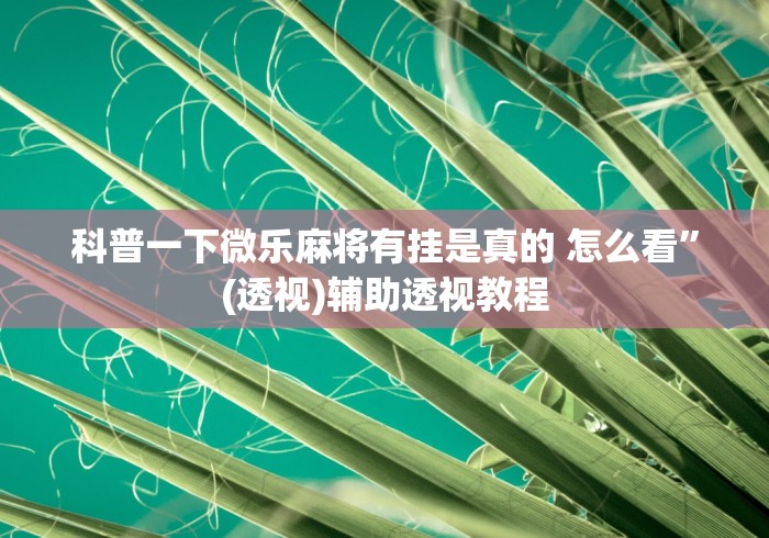 科普一下微乐麻将有挂是真的 怎么看”(透视)辅助透视教程