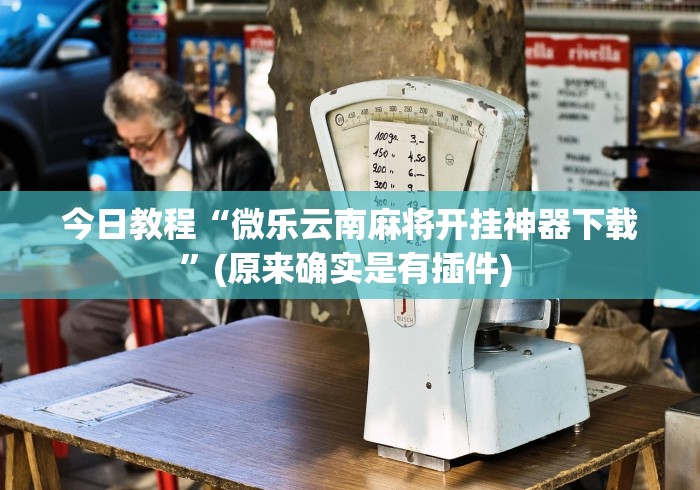 今日教程“微乐云南麻将开挂神器下载”(原来确实是有插件) 
