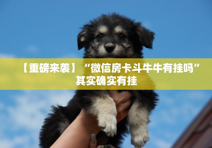 【重磅来袭】“微信房卡斗牛牛有挂吗	”其实确实有挂