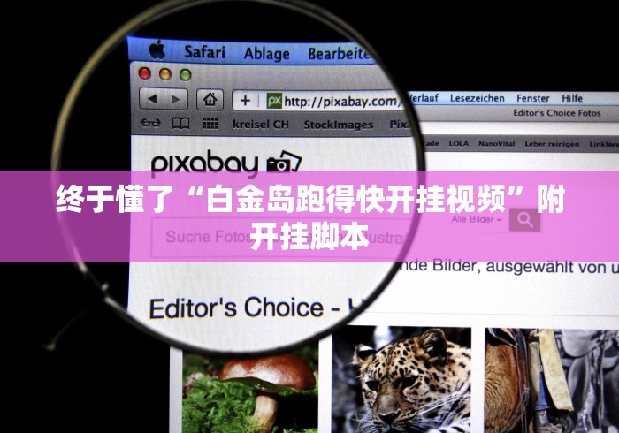 终于懂了“白金岛跑得快开挂视频”附开挂脚本