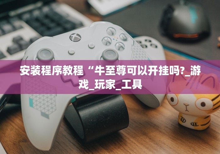 安装程序教程“牛至尊可以开挂吗?_游戏_玩家_工具 安装程序教程“牛至尊可以开挂吗?_游戏_玩家_工具