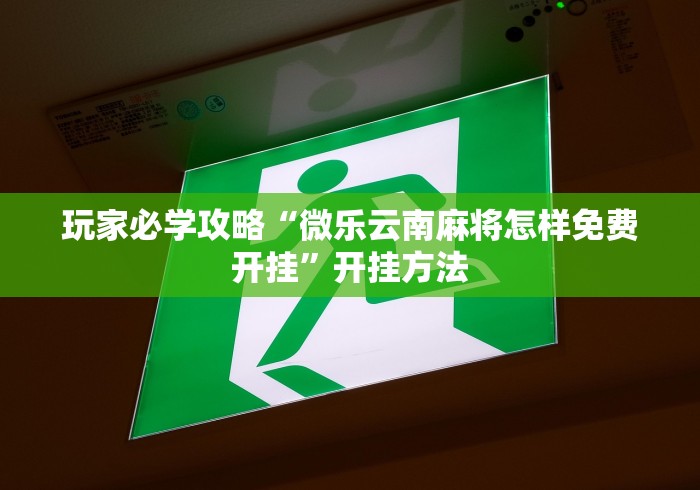 玩家必学攻略“微乐云南麻将怎样免费开挂”开挂方法