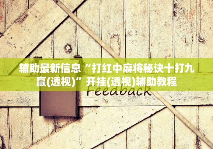 辅助最新信息“打红中麻将秘诀十打九赢(透视)”开挂(透视)辅助教程