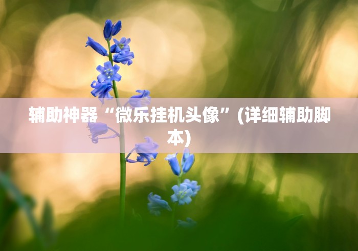 辅助神器“微乐挂机头像”(详细辅助脚本)