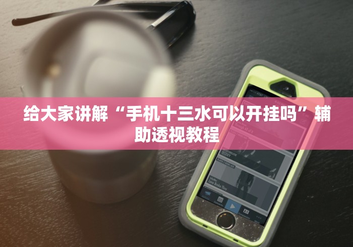给大家讲解“手机十三水可以开挂吗”辅助透视教程