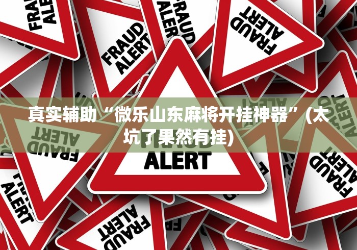 真实辅助“微乐山东麻将开挂神器”(太坑了果然有挂)