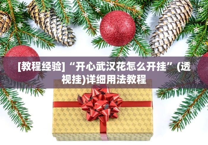 [教程经验]“开心武汉花怎么开挂”(透视挂)详细用法教程